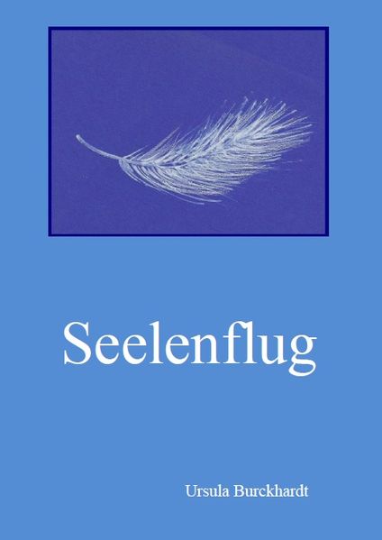 Cover von Seelenflug