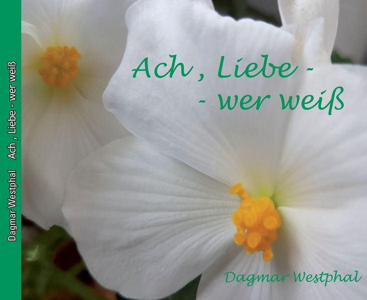 Cover von Ach Liebe – wer weiß