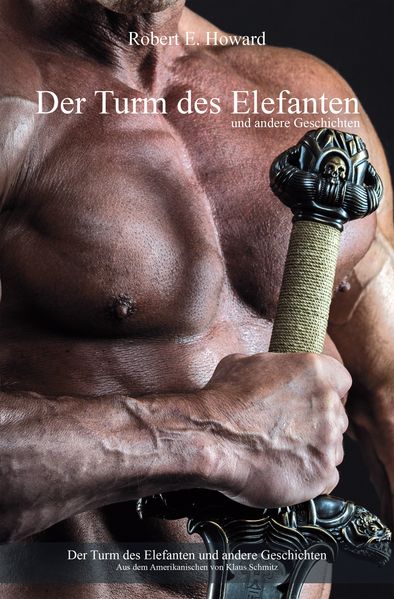 Cover von Der Turm des Elefanten und andere Geschichten