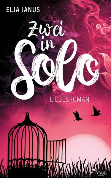 Cover von Zwei in Solo