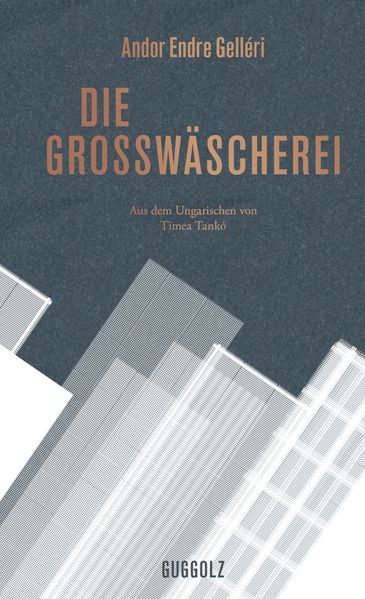 Cover von Die Großwäscherei