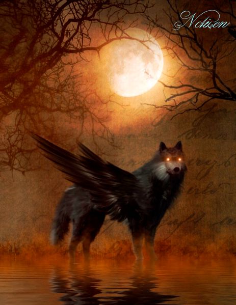 Cover von Fantasy Notizbuch: Nephele – weiße Seiten mit Eckmotiv