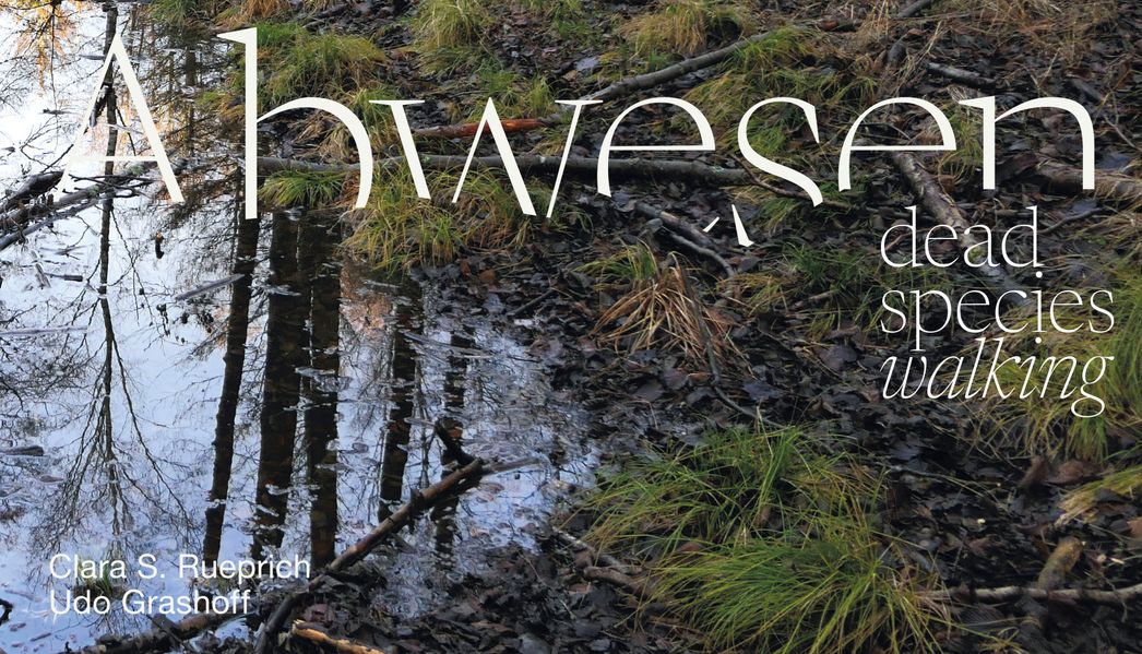 Cover von Abwesen