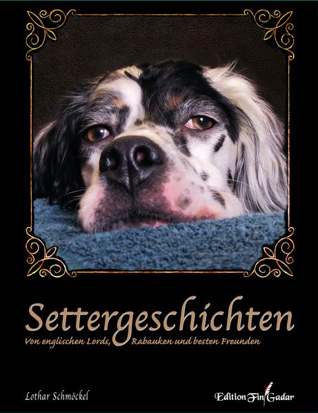 Cover von Settergeschichten