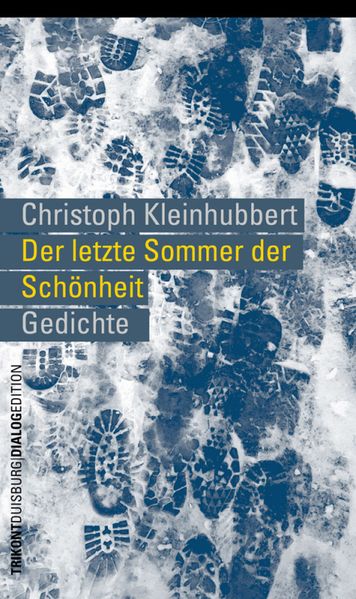 Cover von Der letzte Sommer der Schönheit