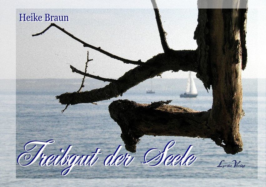 Cover von Treibgut der Seele