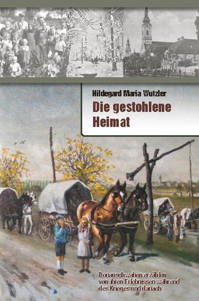 Cover von Die gestohlene Heimat