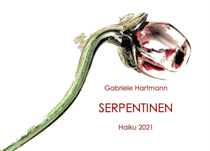 Cover von Serpentinen