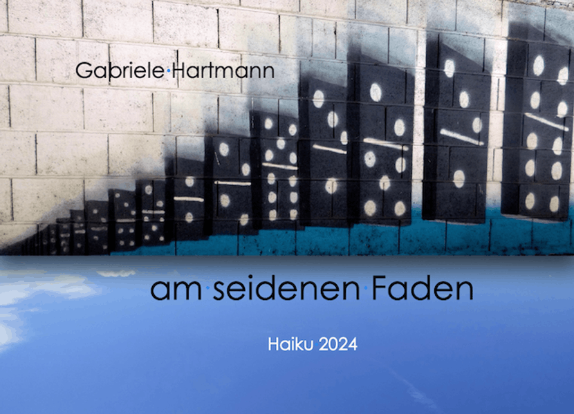 Cover von Am seidenen Faden
