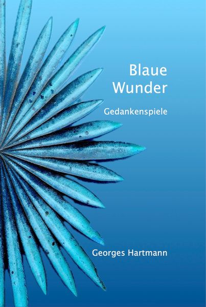 Cover von Blaue Wunder