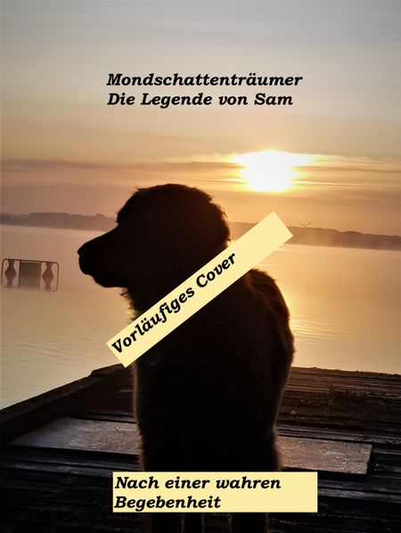 Cover von Mondschattenträumer