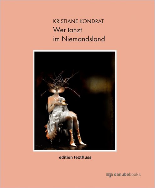 Cover von Wer tanzt im Niemandsland