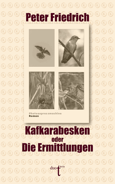 Cover von Kafkarabesken oder Die Ermittlungen