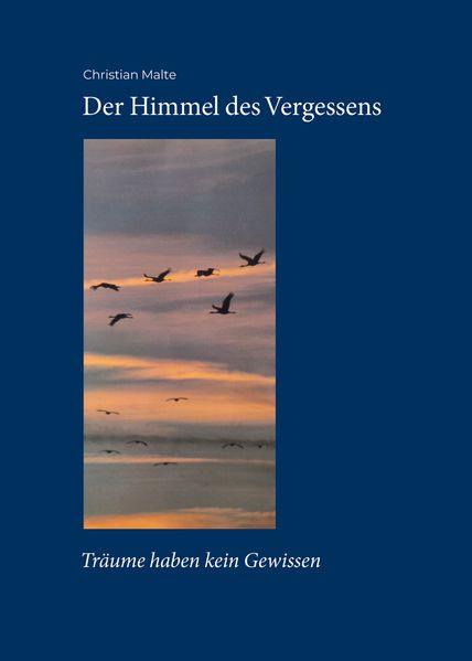 Cover von Der Himmel des Vergessens