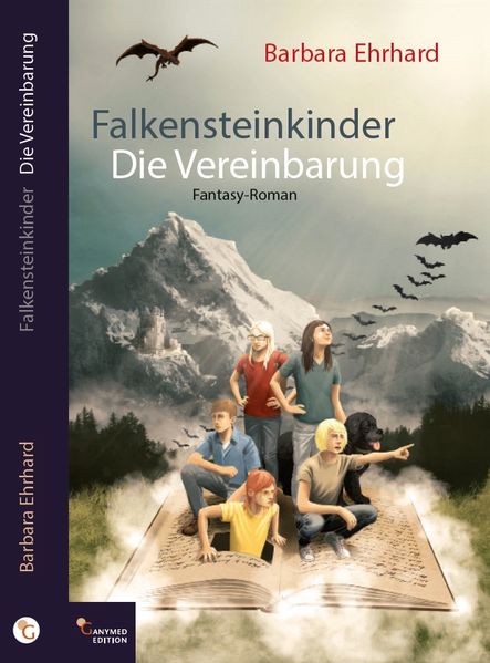Cover von Falkensteinkinder – Die Vereinbarung