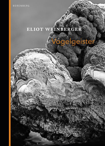 Cover von Vogelgeister