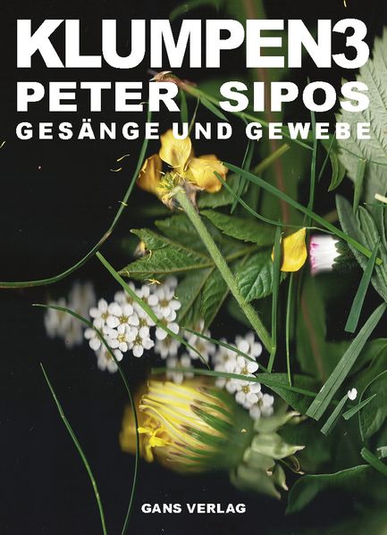 Cover von Klumpen3