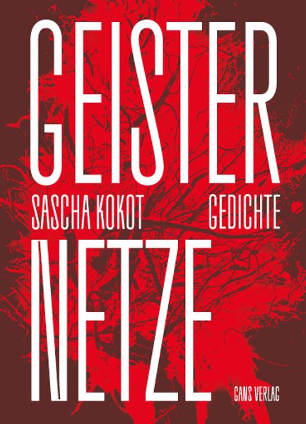 Cover von Geisternetze