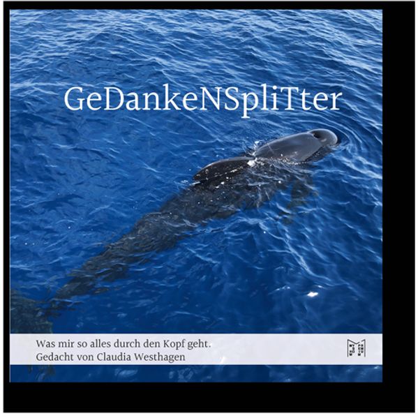 Cover von Gedankensplitter