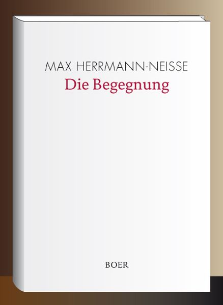 Cover von Die Begegnung