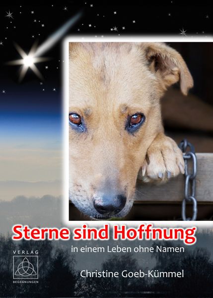 Cover von Sterne sind Hoffnung