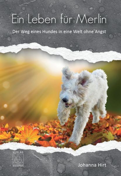 Cover von Ein Leben für Merlin