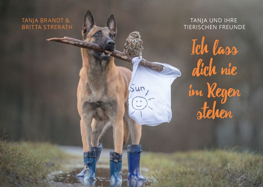 Cover von Ich lass dich nie im Regen stehen