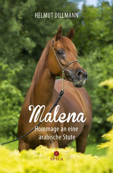Cover von Malena