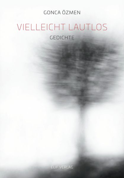 Cover von Vielleicht Lautlos