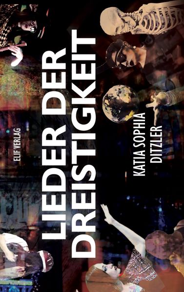 Cover von Lieder der Dreistigkeit