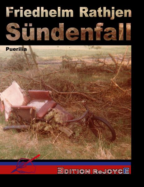Cover von Sündenfall