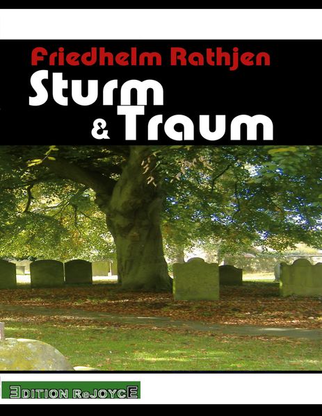 Cover von Sturm & Traum