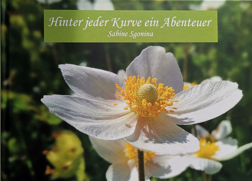 Cover von Hinter jeder Kurve ein Abenteuer