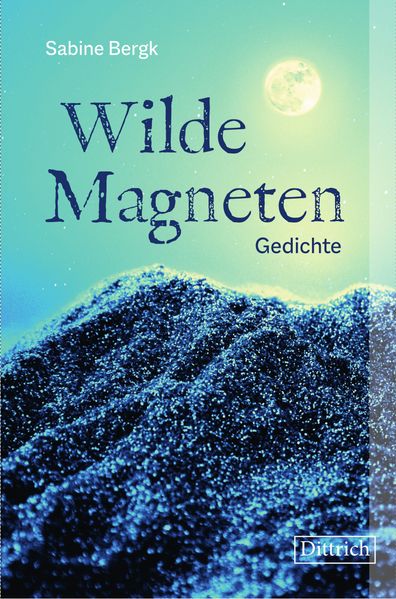 Cover von Wilde Magneten