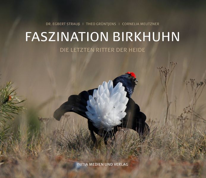 Cover von Wettervorhersage