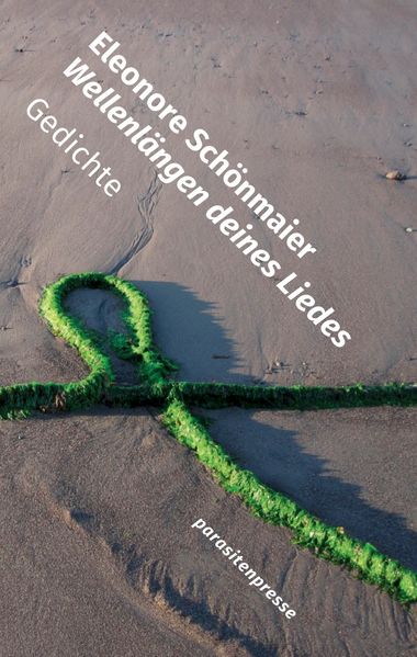 Cover von Wellenlängen deines Liedes