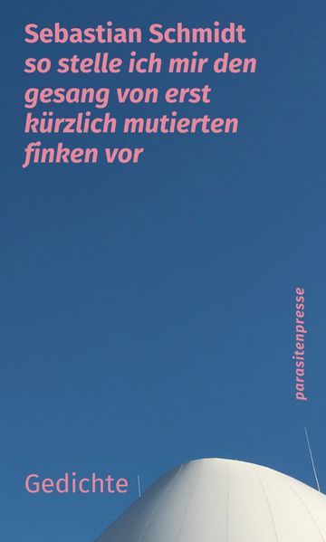 Cover von so stelle ich mir den gesang von erst kürzlich mutierten finken vor