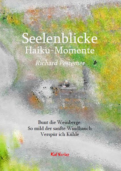 Cover von Seelenblicke