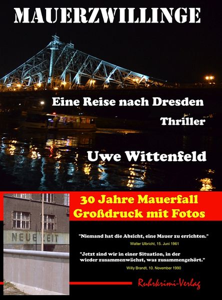 Cover von Mauerzwillinge – Großdruck