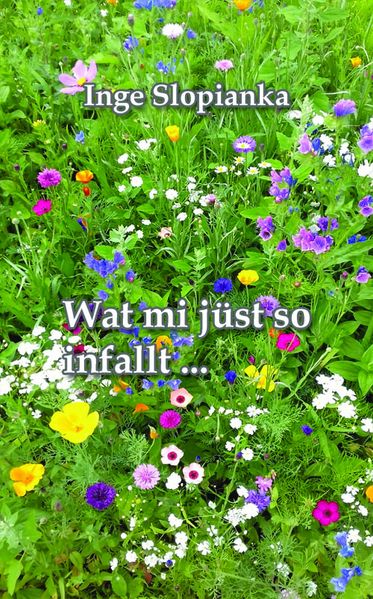 Cover von Wat mi jüst so infallt