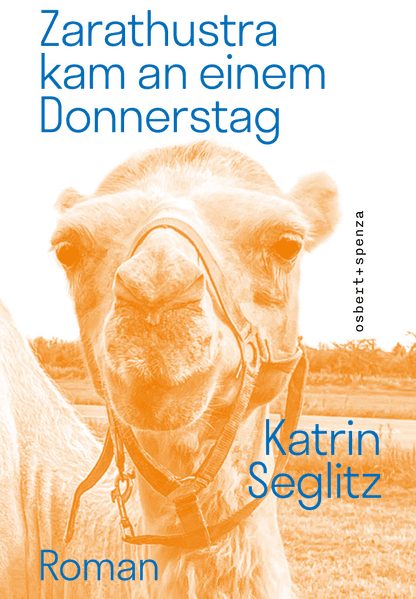 Cover von Zarathustra kam an einem Donnerstag