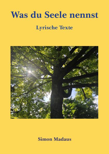 Cover von Was du Seele nennst