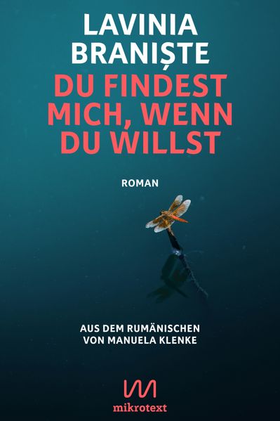 Cover von Du findest mich, wenn du willst