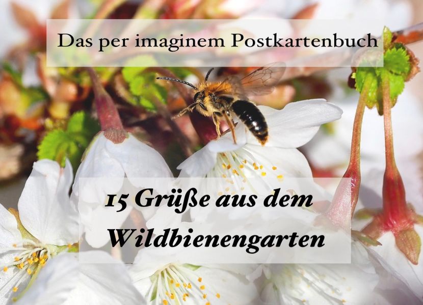 Cover von 15 Grüße aus dem Wildbienengarten