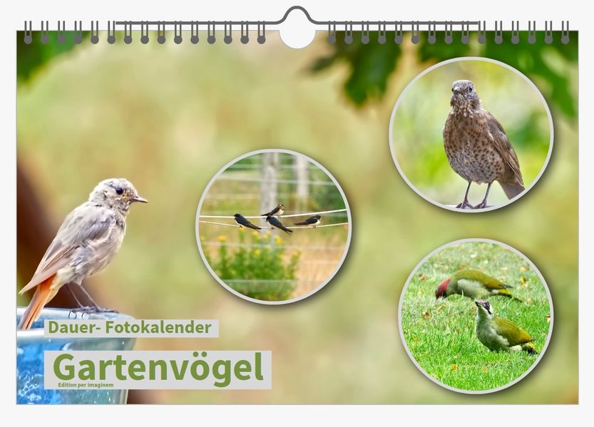 Cover von Dauer-Kalender „Gartenvögel“