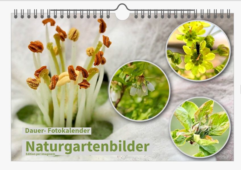Cover von Dauer-Kalender: „Naturgartenbilder“