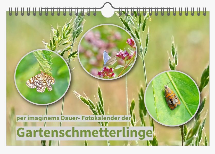 Cover von per imaginems Dauer-Fotokalender: „Gartenschmetterlinge“