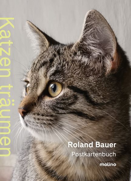 Cover von Katzen träumen