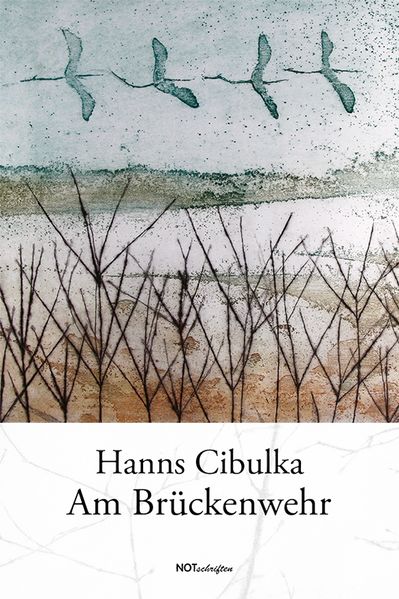 Cover von Am Brückenwehr