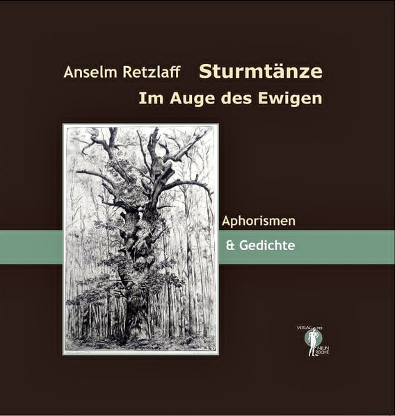 Cover von Sturmtänze. Im Auge des Ewigen